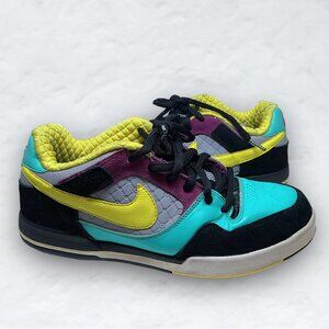 Nike SB (2008) Paul Rodriguez 2 Zoom Air "CADBURY" | RARE Size! | 315459-073